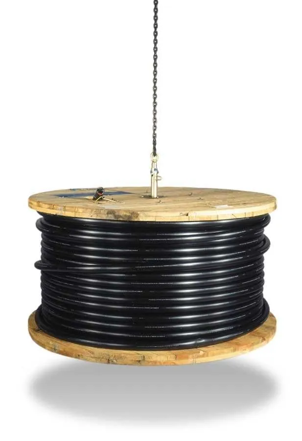 THE "REEL THING" 2 THE "REEL THING" - Image 2