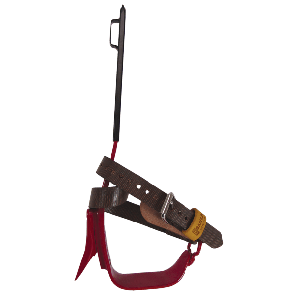 Bashlin Climber