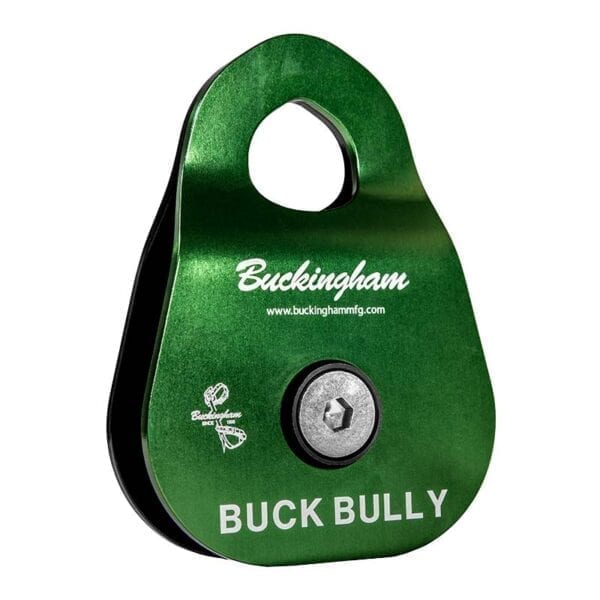 Buckingham Buck Bully